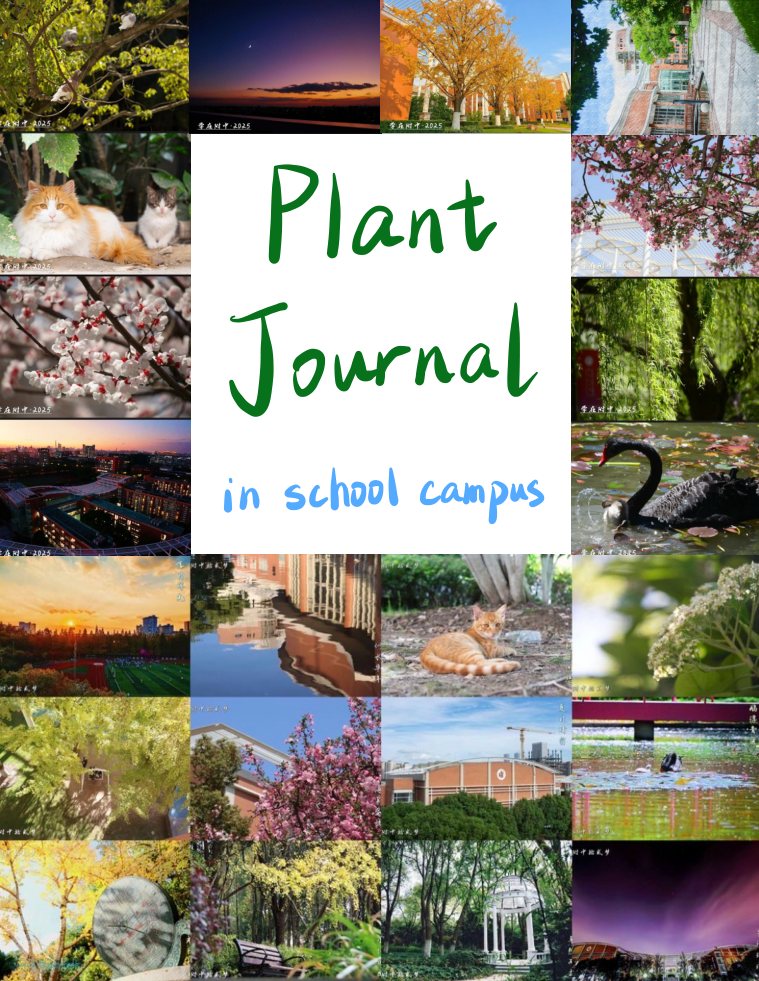Plant Diary page 1